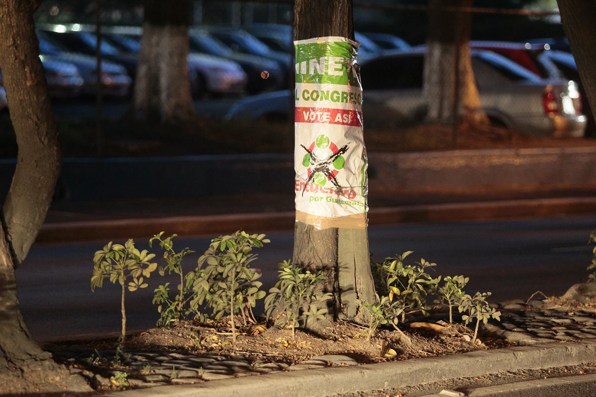 Toda la publicada de los partidos políticos fue retirada de árboles, parques y monumentos. (Foto Prensa Libre: E. Bercian)