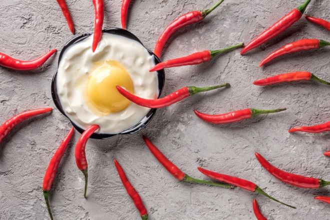 No todas las especies tienen reproducción sexual. (Foto Prensa Libre:GETTY IMAGES)