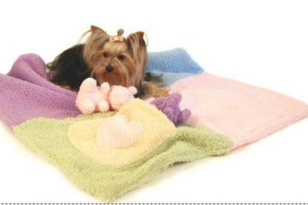 <br _mce_bogus="1"/>