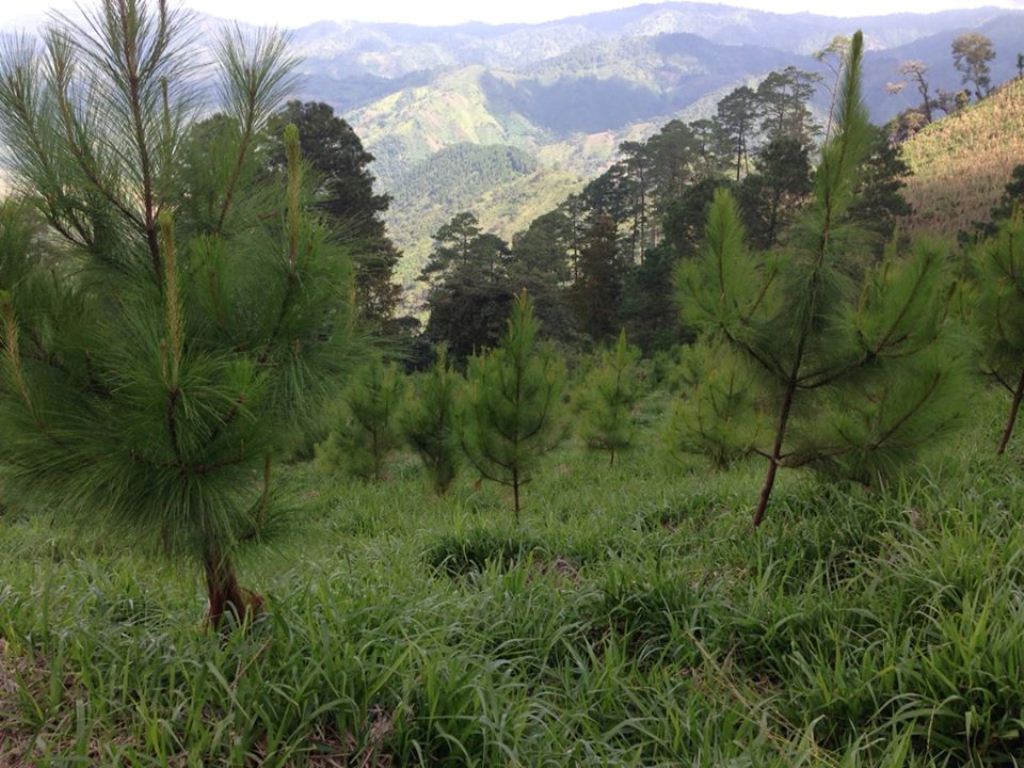 Área donde ocurrió el rescate del secuestrado en Olopa, Chiquimula. (Foto Prensa Libre: Edwin Paxtor).