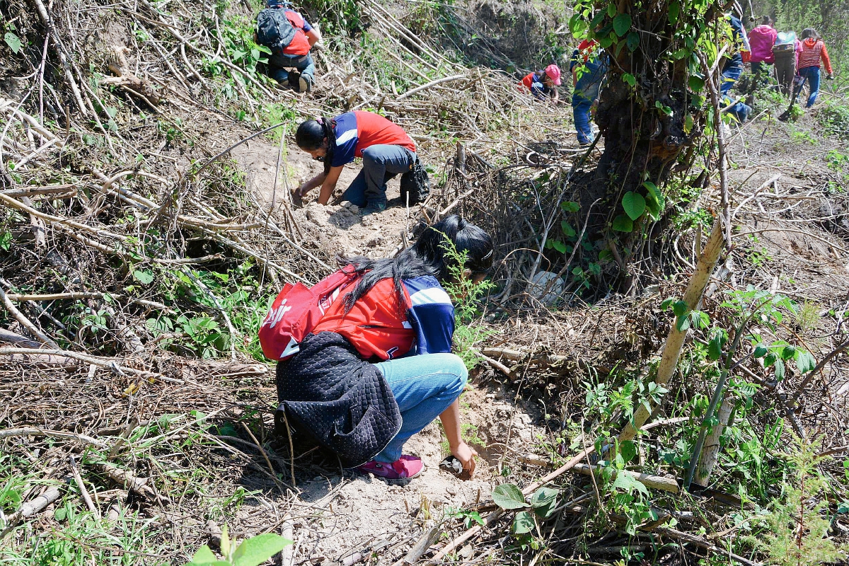 Estudiantes plantan árboles en un terreno de la EFA, en la cabecera de Sololá. (Foto Prensa Libre: Édgar Sáenz)