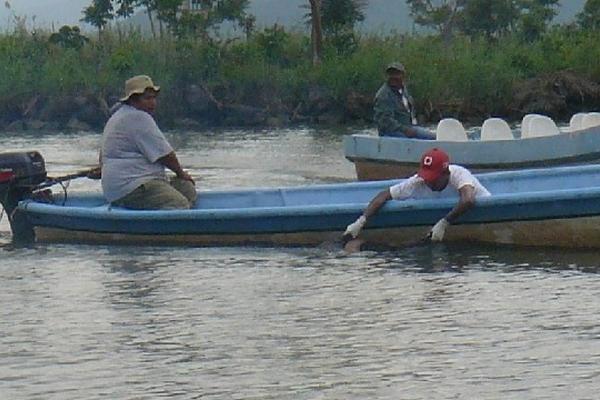 Varios hombres colaboran en los trabajos para la recuperación de  los cadáveres de tres universitarios que se ahogaron en el Lago de Izabal, el sábado por la noche.