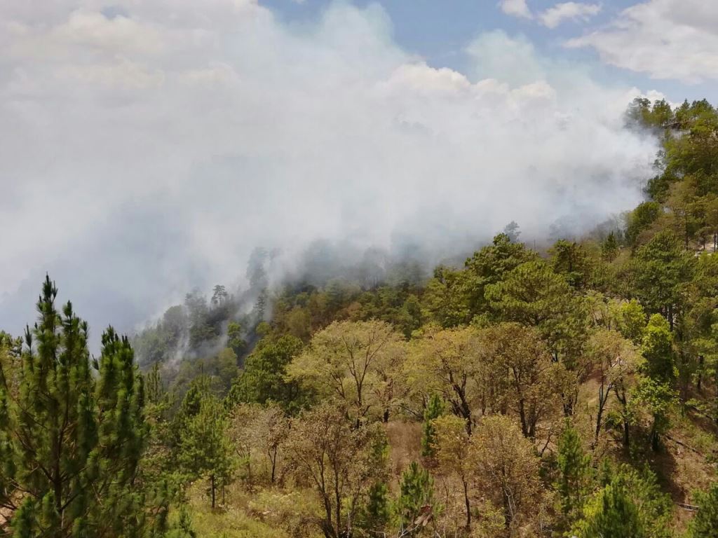 El tercer incendio de abril en Chiquimula consume zona boscosa de Jocotán. (Foto Prensa Libre: Mario Morales)