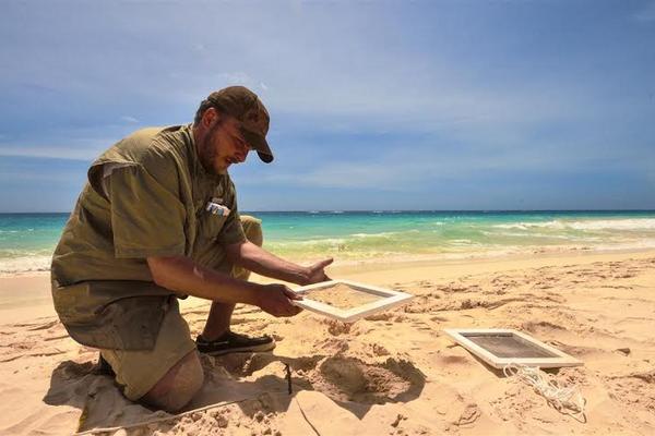 Sergio Izquierdo participa en muestreo en la playa Grape Bay. (Foto Prensa Libre: Sergio Izquierdo)