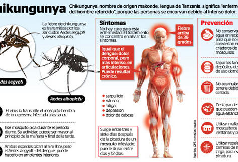 Infografía sobre el virus Chikunguña. (Foto Prensa Libre:ARCHIVO).