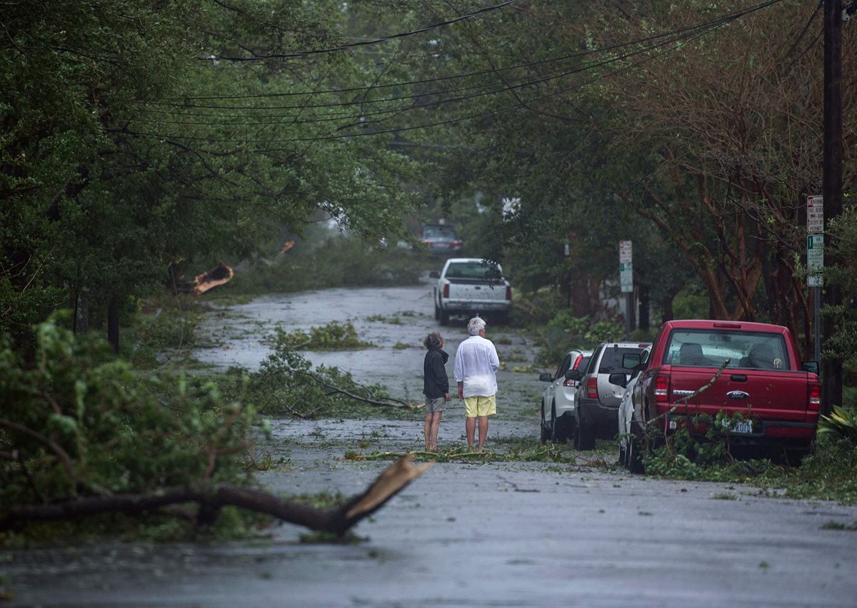 Árboles caídos dejó el paso del huracán Florence en Wilmington, Carolina del Norte. (Foto Prensa Libre: AFP)