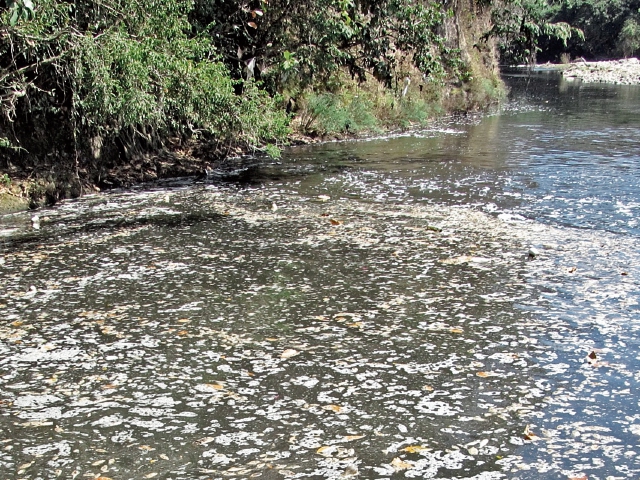 Según expertos, el 90 por ciento del río Lempa está contaminado y sus aguas no son aptas para el consumo humano.(Foto Prensa Libre: Mario Morales)