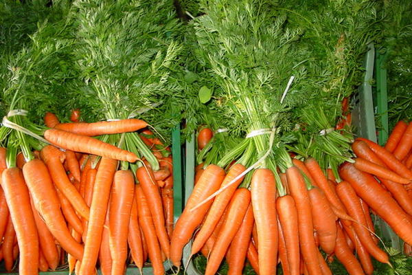 Foto: http://viviendosanos.com