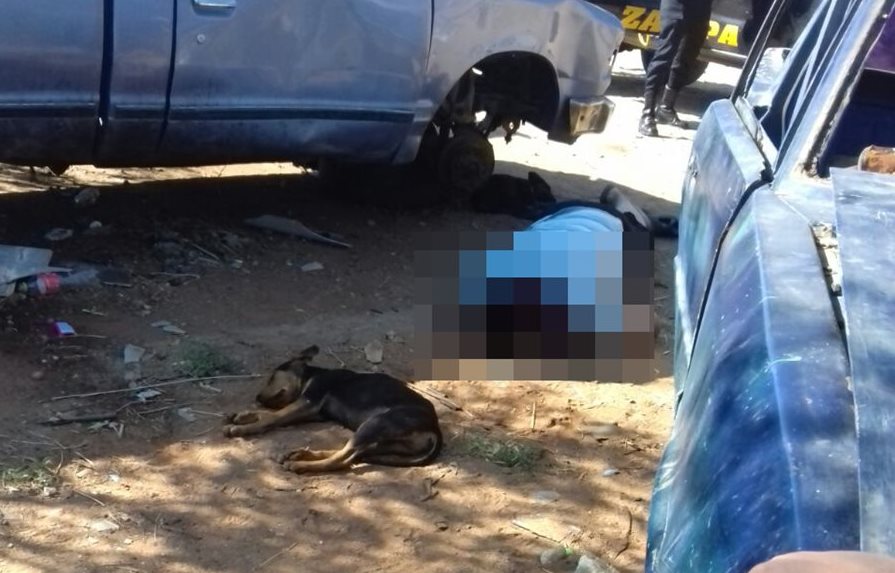 El perro permanece junto al cadáver de su dueño, quien fue atacado a balazos en La Nopalera. (Foto Prensa Libre: Mario Morales)