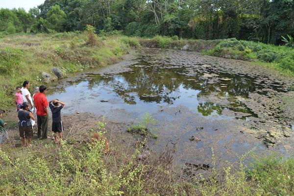 Laguneta causa proliferación de zancudos en el cantón El Retiro, de la cabecera de Retalhuleu. (Foto Prensa Libre: Jorge Tizol)