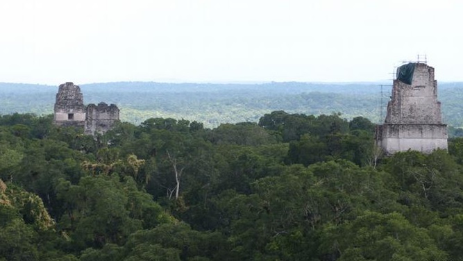 Biosfera maya en Guatemala. (Foto Prensa Libre: Internet)