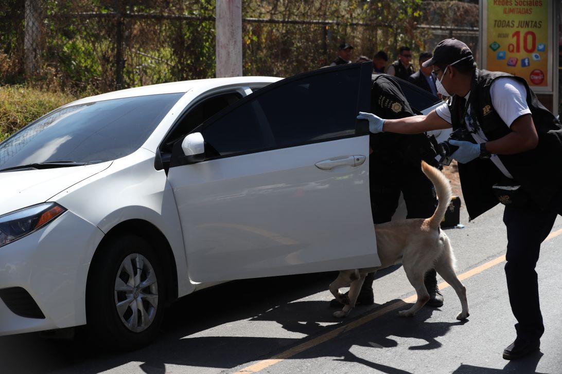 Un agente canino ayuda en la inspección del vehículo donde transportaban las armas y el dinero. (Foto Prensa Libre: Estuardo Paredes)