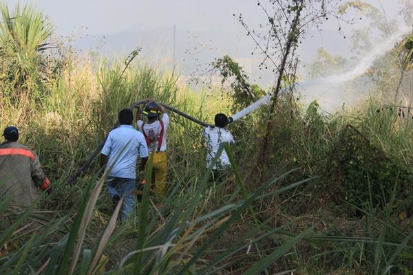 Socorristas sofocan el fuego en un pastizal ubicado en la antigua estación del ferrocarril en Escuintla. (Foto Prensa Libre: Melvin Sandoval)