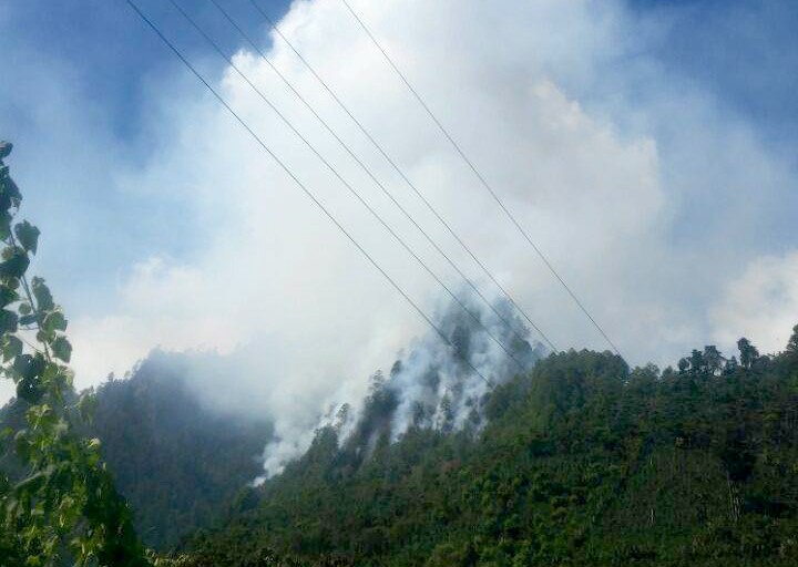 El fuego ha destruido varias hectáreas de bosque en La Libertad. (Foto Prensa Libre: Mike Castillo).