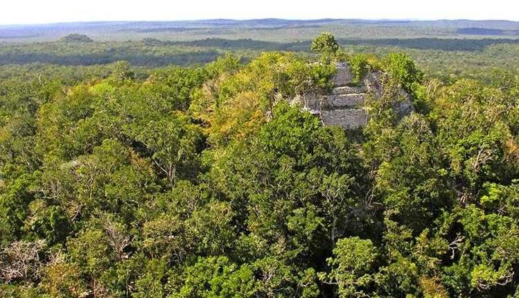 El Mirador es uno de los sitios y vestigios más importantes que se conservan del mundo maya. (Foto: Hemeroteca PL)