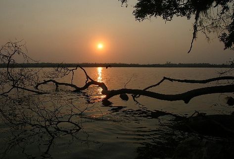 El alemán Joachim Rittsteing afirma que según el códice maya de Dresde, en el fondo del Lago de Izabal se encuentran dos mil 156 tablas de oro.