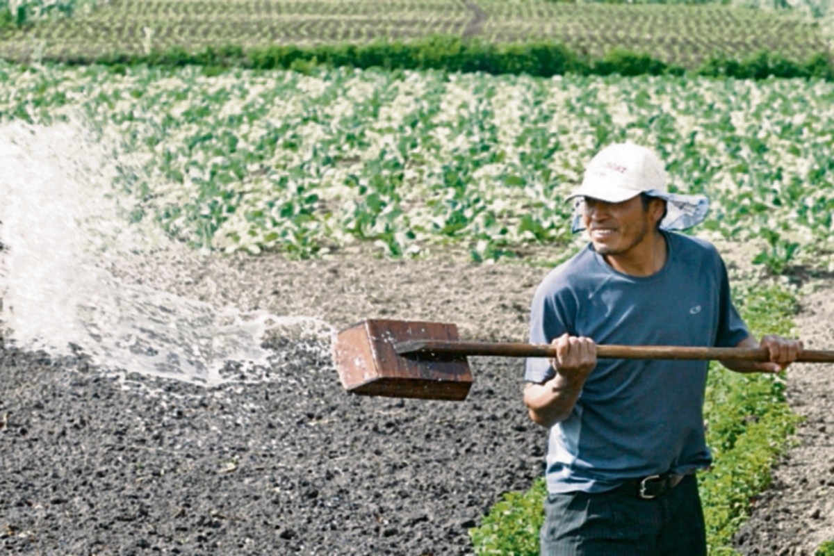 Ministerio de Trabajo llamó a conformar  comisiones paritarias de salarios en cuatro municipios. (Foto Prensa Libre: Erlie Castillo)