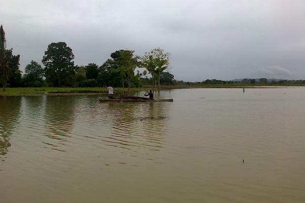Amplias zonas de Ixcán, Quiché, continúan inundadas por el desbordamiento del río Chixoy. (Foto Prensa Libre: Óscar Figueroa)<br _mce_bogus="1"/>
