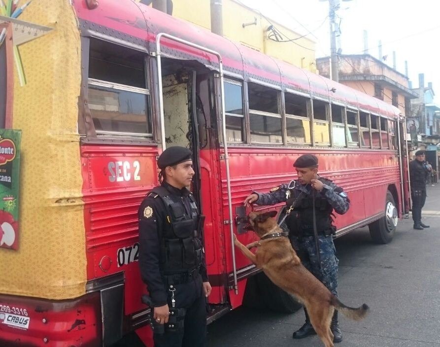 Agentes caninos son utilizados en la revisión de buses. (Foto Prensa Libre: PNC)