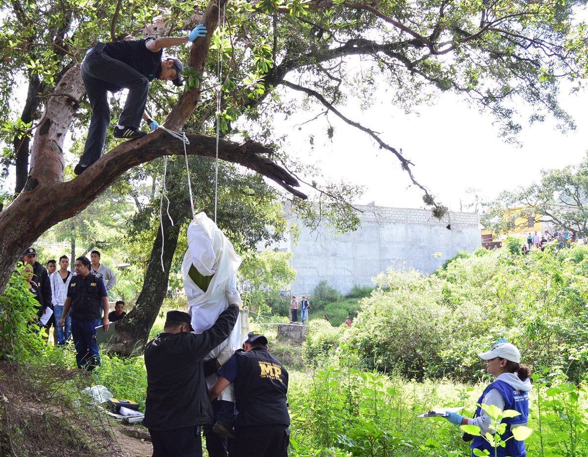 Autoridades bajan el cadáver del árbol en el que se encontraba colgado. (Foto Prensa Libre: Mike Castillo)