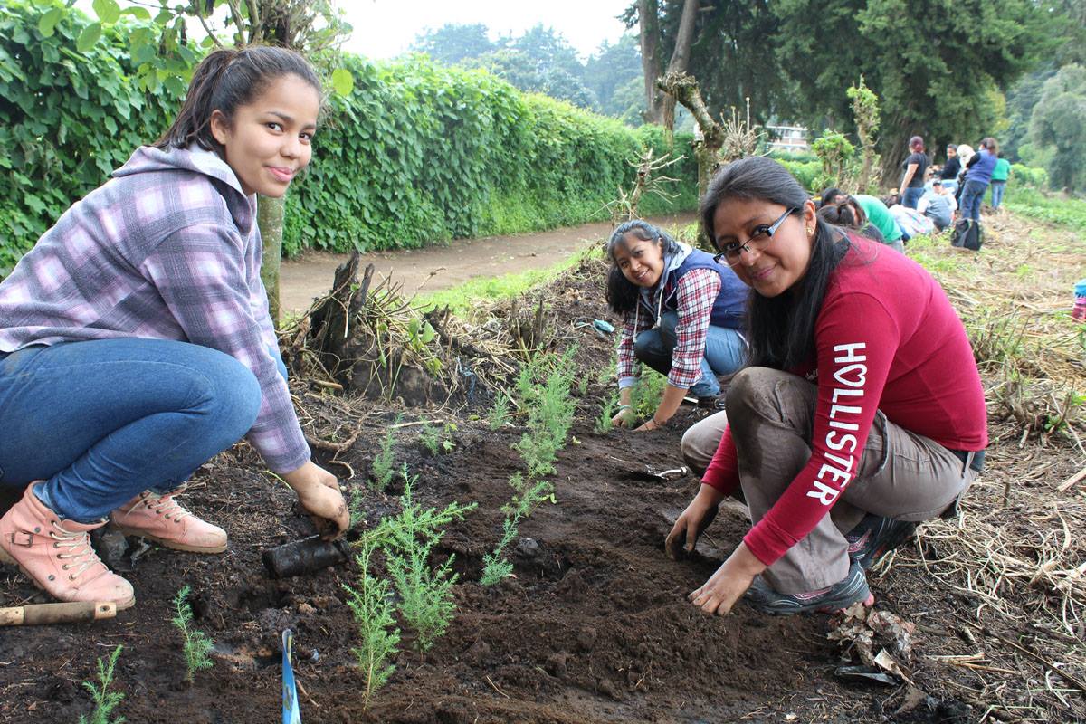 Voluntarios participan en una jornada de reforestación. (Foto Prensa Libre: Cortesía).
