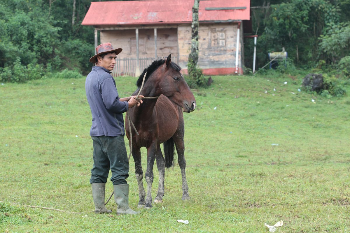 Léster Lemus explica a los asistentes la importancia de cuidar los cascos de los equinos.(Foto Prensa Libre: Yadira Montes)