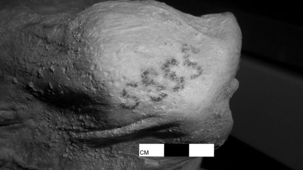 Aquí pueden observarse los motivos con forma de S que recorren el hombro de la momia. (Foto: Museo Británico de Londres).