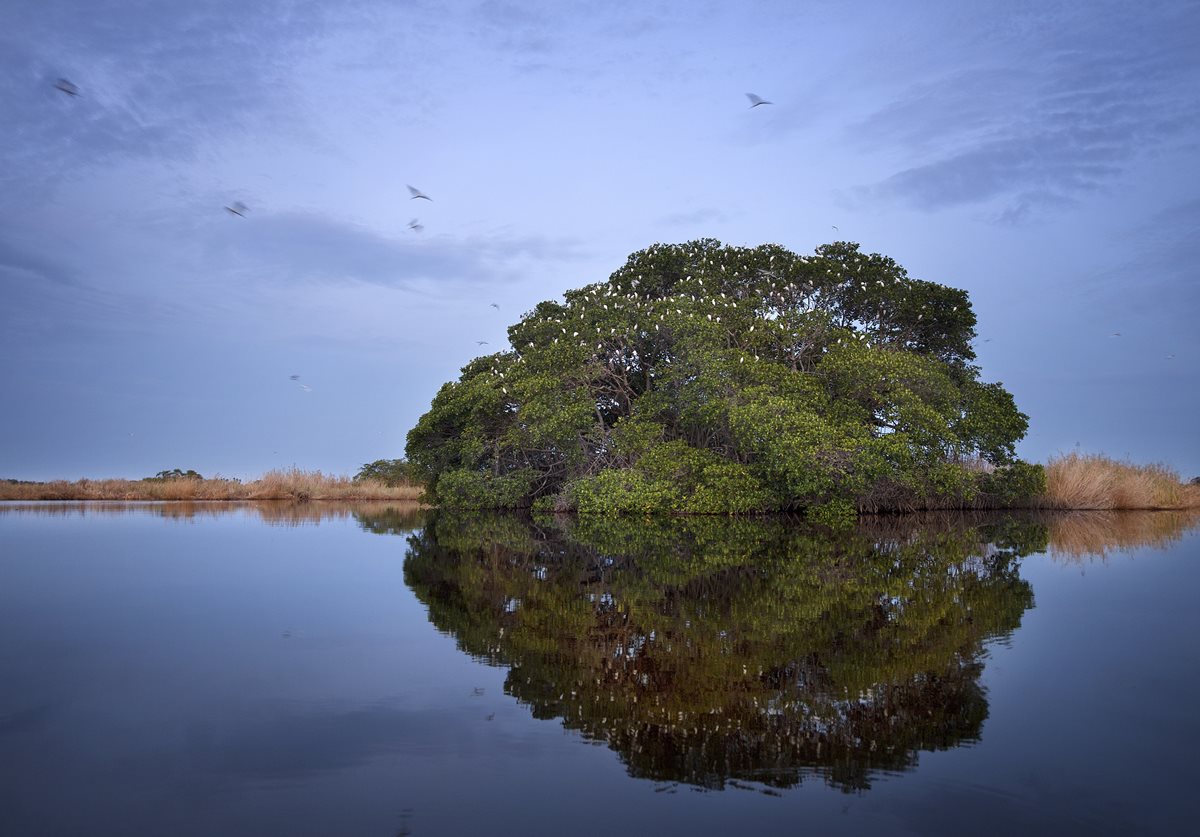 La Reserva Natural de Usos Múltiples Monterrico, está administrada por el Cecon (Centro de Estudios Conservacionistas) de la Universidad de San Carlos. (Foto Prensa Libre: Tono Valdés)