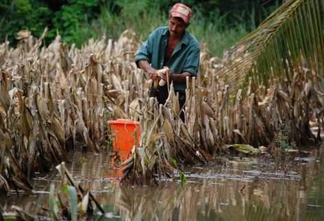 La época lluviosa se espera con más precipitación de lo normal. (Foto Prensa Libre: Archivo)