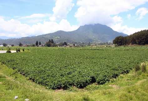 Terreno ubicado en Pacajá, Quetzaltenango, supuestamente destinado a erigir uno de los complejos deportivos que se utilizarán en las justas deportivas centroamericanas.