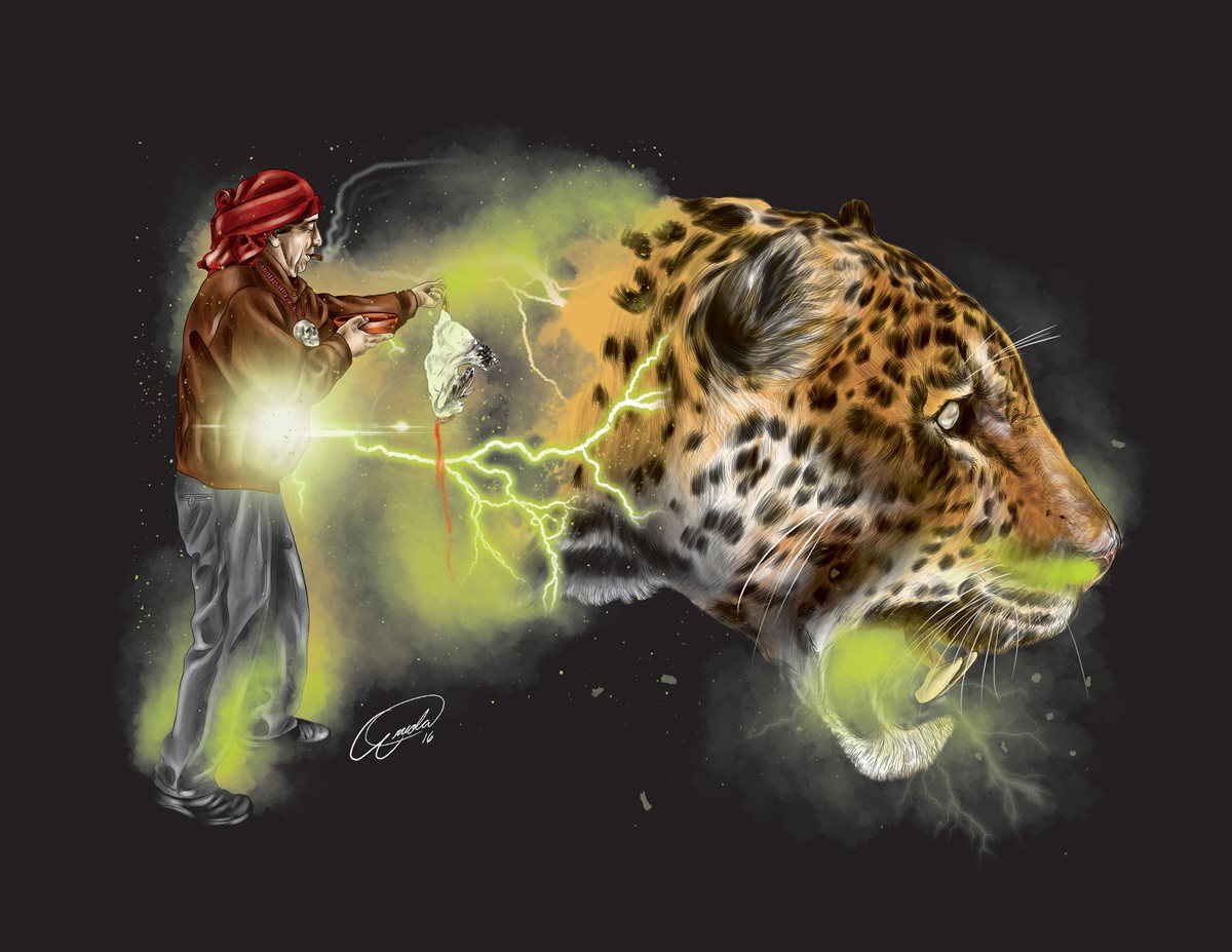 Comunidades indígenas creen que ciertas personas tienen la capacidad de convertirse en animales.