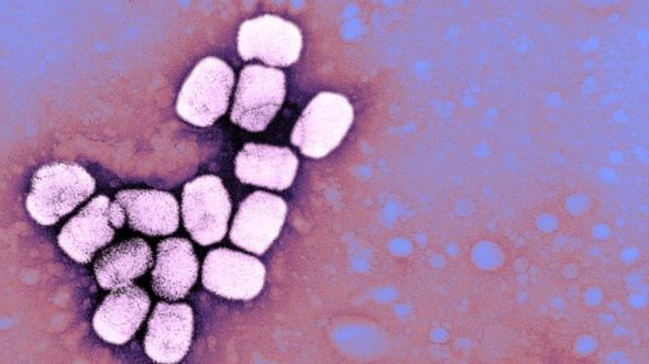 La viruela se erradicó en 1980. GETTY IMAGES