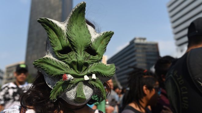 La marihuana tiene mil y un nombres en la "narco jerga". (YURI CORTEZ/AFP)