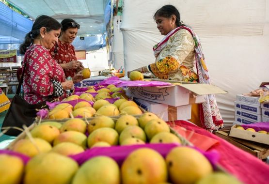 India tiene una relación muy especial con los mangos. GETTY IMAGES