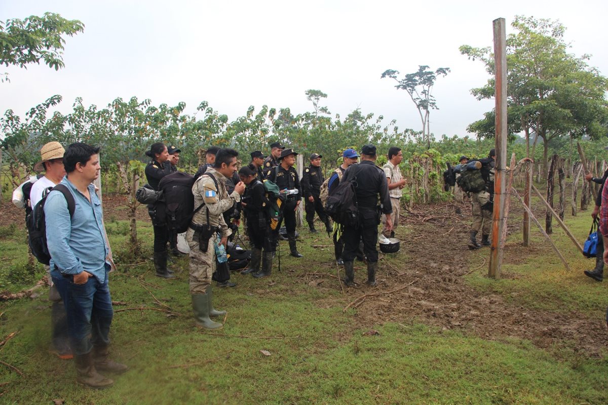 Agentes policiales, guardabosques del Conap y personal del MP recuperaron el área de bosque destruido en la Laguna del Tigre, en San Andrés. (Foto Prensa Libre: Rigoberto Escobar)
