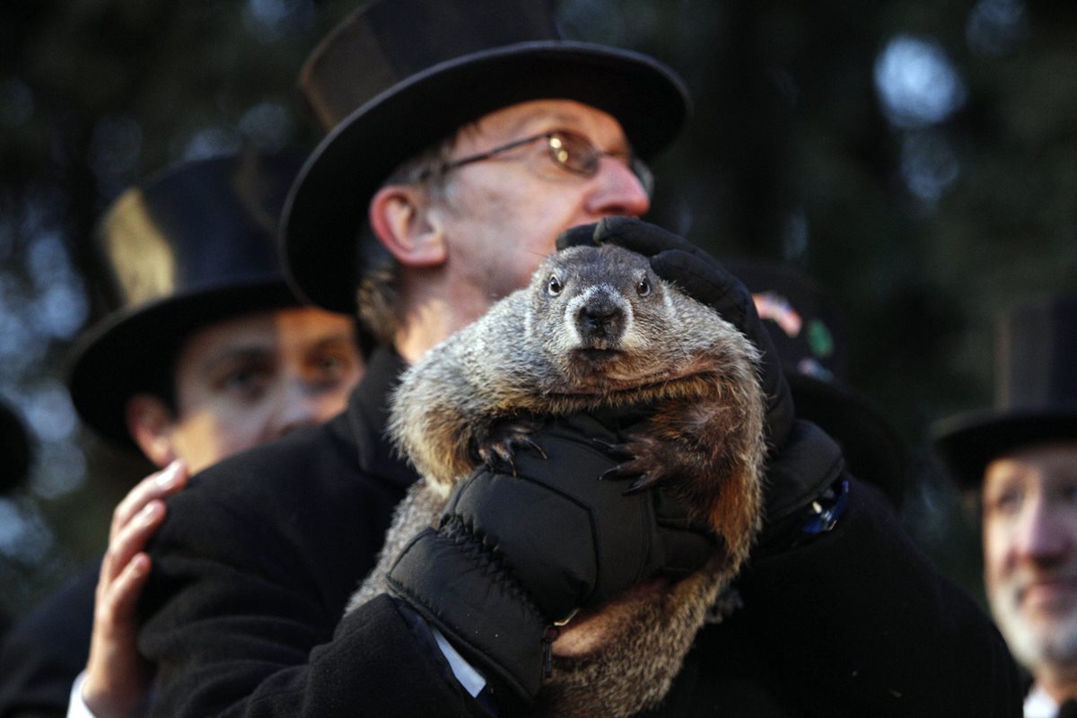 Ron Ploucha sostiene a la marmota Phil durante la celebración del día de la marmota el martes. (Foto Prensa Libre: EFE).