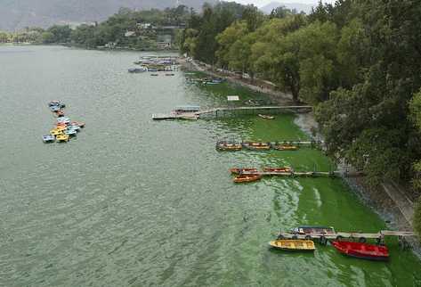 En la actualidad, las microalgas contaminan  el Lago de Amatitlán. (Foto Prensa Libre: Hemeroteca PL)