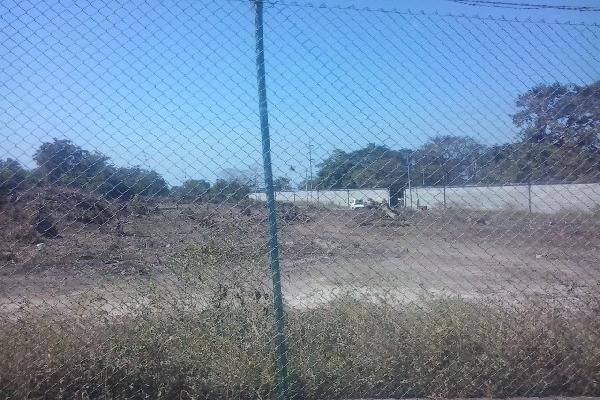 Área donde, según  sindicalistas, fueron cortados árboles para la nueva terminal portuaria.