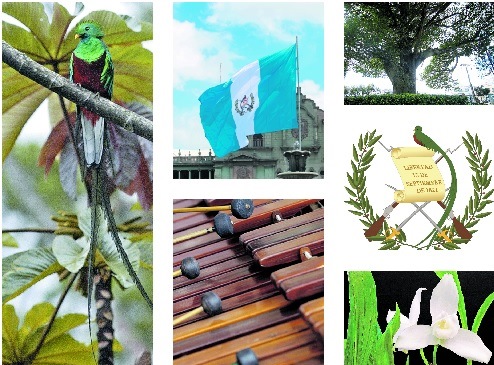 El Quetzal, la Bandera, la Marimba, la Ceiba, el Escudo de armas y la Monja Blanca son nuestros símbolos patrios. (Foto Prensa Libre: Hemeroteca PL)