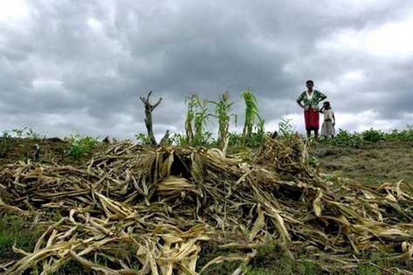 El fenomeno de El Niño pondría en peligro la seguridad alimentaria del país según expertos. (Foto Prensa Libre: archivo)<br _mce_bogus="1"/>