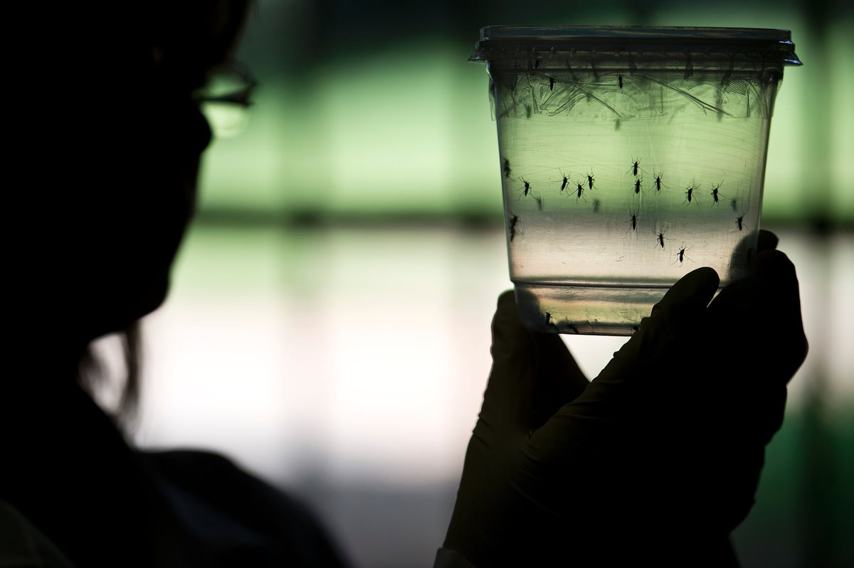 La OMS asegura que la transmisión sexual del zika es más común de lo pensado. (Foto Prensa Libre: AFP).