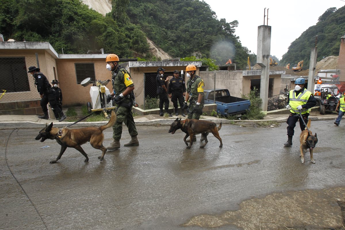 Los rescatistas llevan a la zona del desastre a los perros, para iniciar la búsqueda de víctimas. (Foto Prensa Libre: Paulo Raquec)