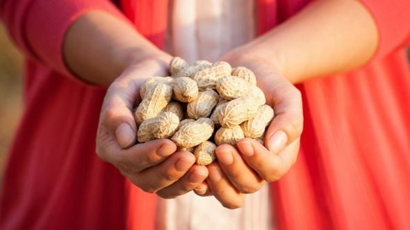 En las últimas dos décadas se doblaron los niños diagnosticados con alergia al maní en el Reino Unido. GETTY IMAGES