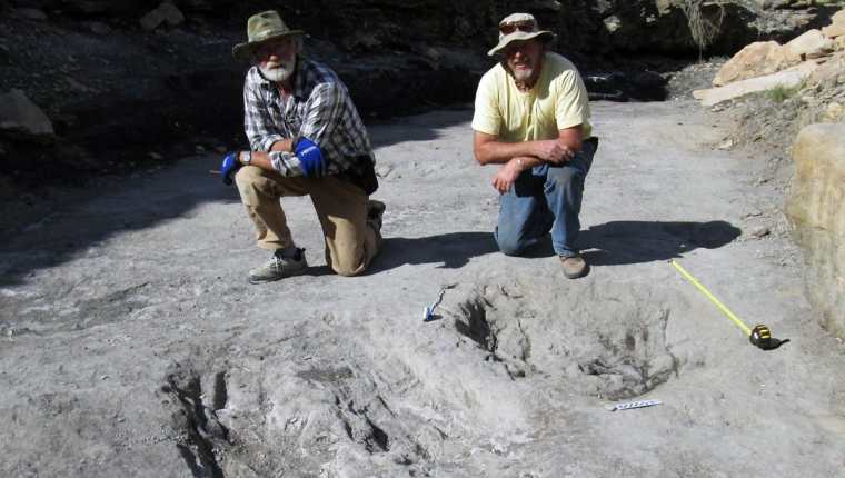 Científicios vinculan marcas en el suelo con dinosaurios