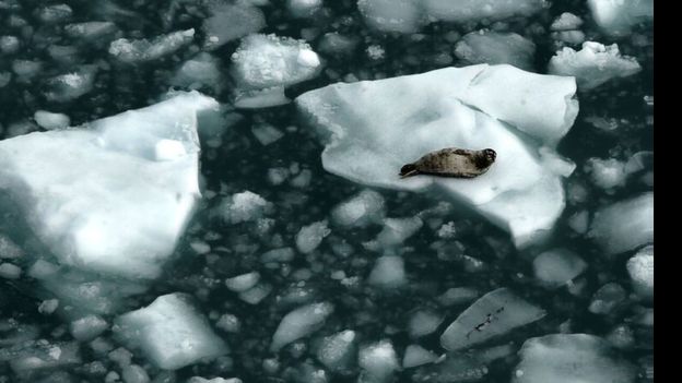 El derretimiento del hielo en el Ártico reducirá la cantidad de luz solar que se refleja en el espacio. (Getty Images)