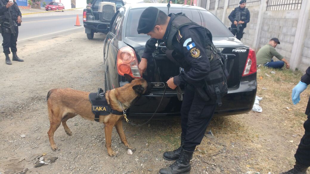La inspección del vehículo se efectua a través de un agente canino, quien alertó del posible ilícito que contenía el automotor.(Foto Prensa Libre: Víctor Gómez)