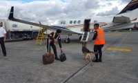 Agentes antinarcóticos, con perros adiestrados, revisan avionetas privadas en el aeropuerto internacional La Aurora, en la zona 13 (Foto Prensa Libre: PNC).