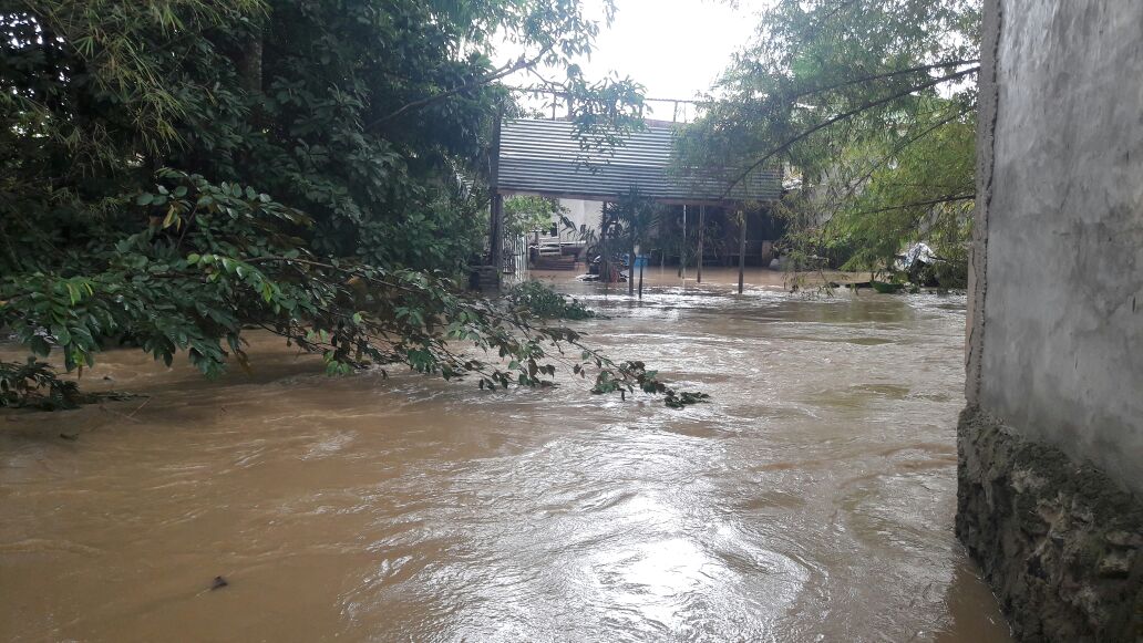 Viviendas de la 14 calle de Puerto Barrios anegadas por desborde del Río Escondido de Puerto Barrios.