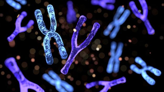 El síndrome, descubierto en 1969 por dos médicos estadounidenses, tiene mayor prevalencia en el sur y el suroeste de Brasil que en otros lugares del mundo. GETTY IMAGES