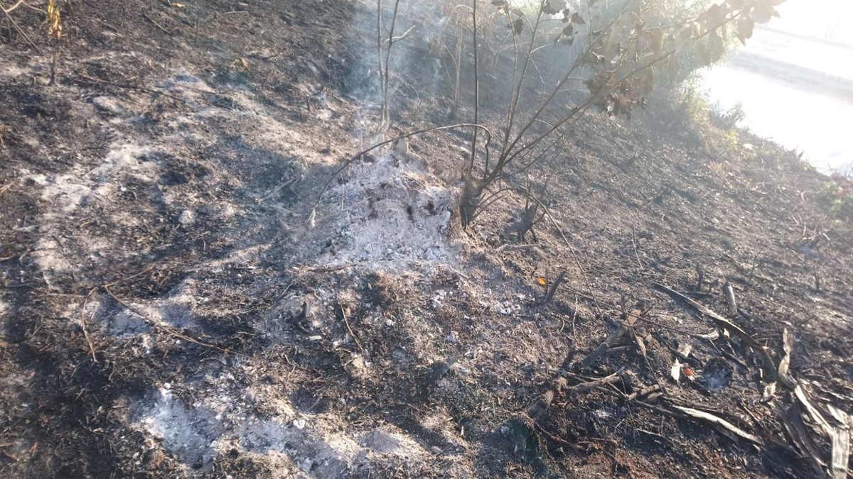 Al menos 18 hectáreas de terreno fueron afectadas con el incendio. (Foto Prensa Libre: La Red)